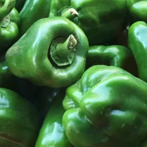 Bell Pepper Green