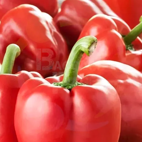 Bell Pepper Red
