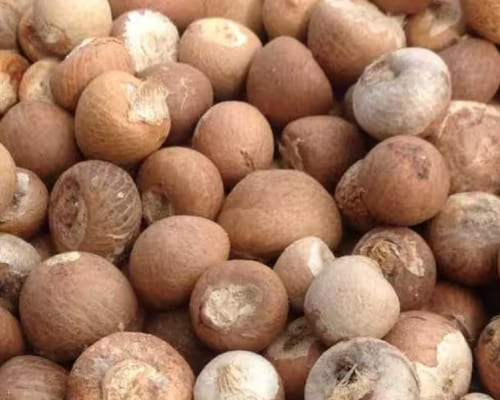 Betel Nuts (areca nuts)g
