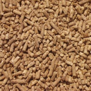 Cattle Feed