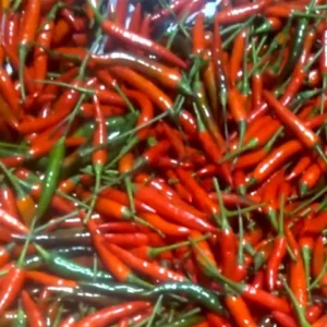 Chili Labuyo