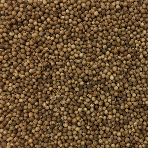 Coriander Seed