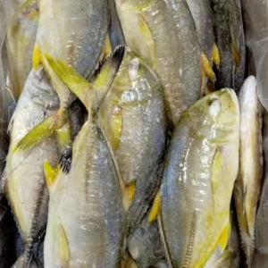 Frozen Malabar Trevally