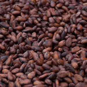  Organic Raw Cacao Beans