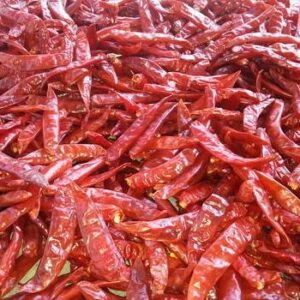 Dry Red Chilli