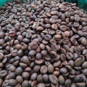 Arabica & Robusta Coffee Beans