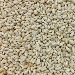 Safflower Seed