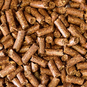 Wheat Distilled Dried Grains with Solubles Pellets